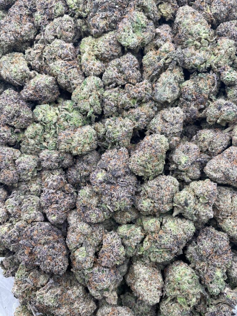 #PE17B 🍭 Laffy Taffy 🤣