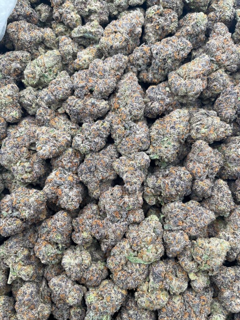 #PE31B 🍭 Blueberry Daquiri 🫐