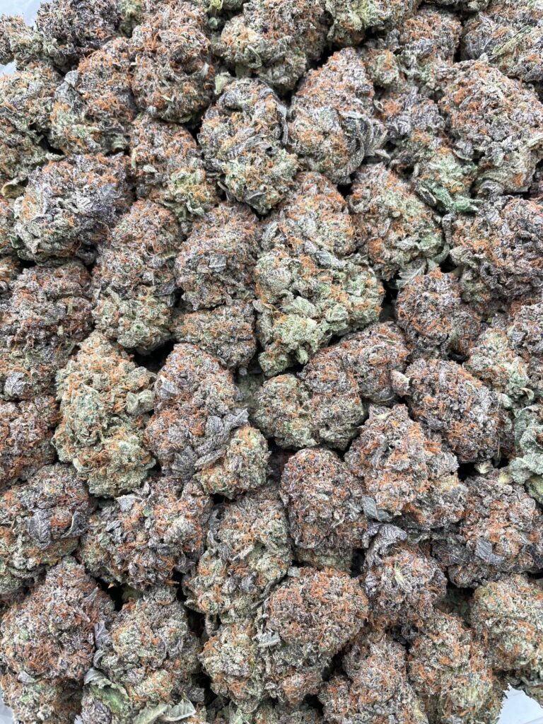 #PE34A 🌾 Fat Boy Bubbas 🫃