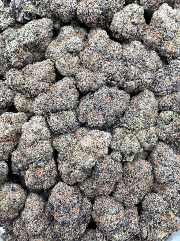 #PE35C 🍬 Jolly Rancher Surge ⚡️