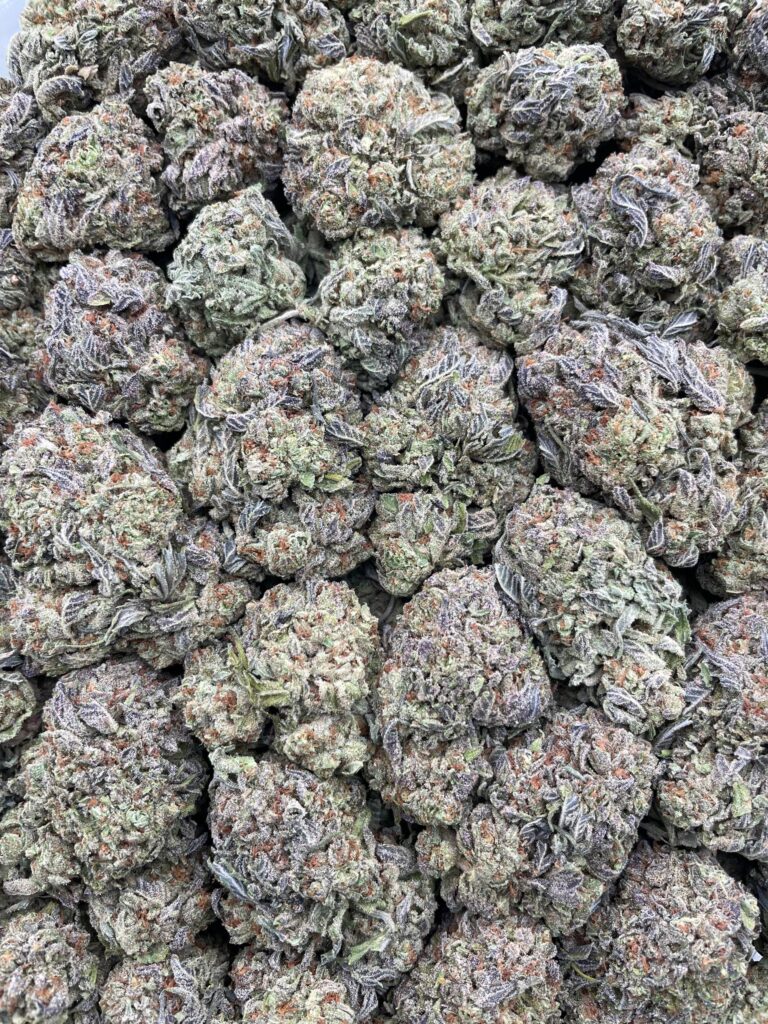 #PE6B 🍨 Bread Pudding 🍞