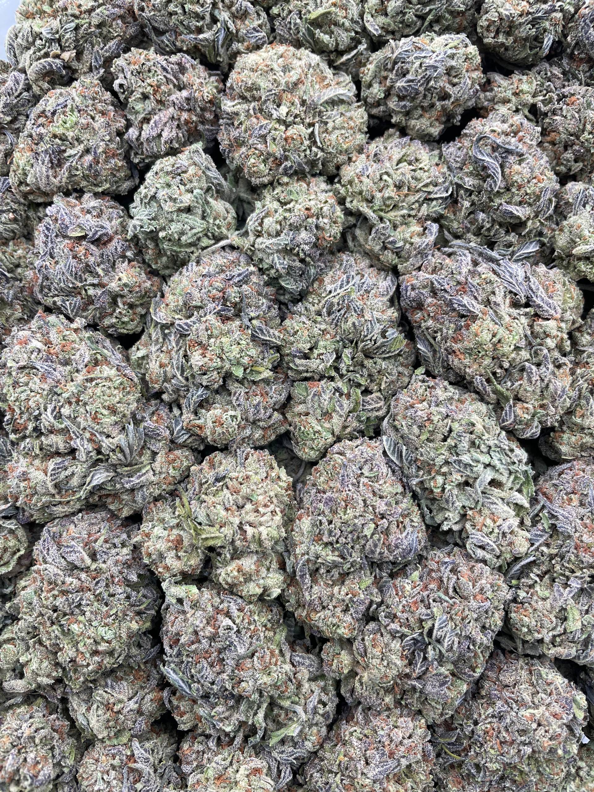 #PE6B 🍨 Bread Pudding 🍞