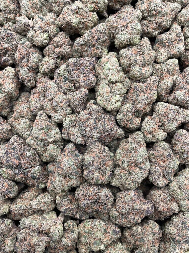 #PF24C 🍭 Mochi Madness 🍡