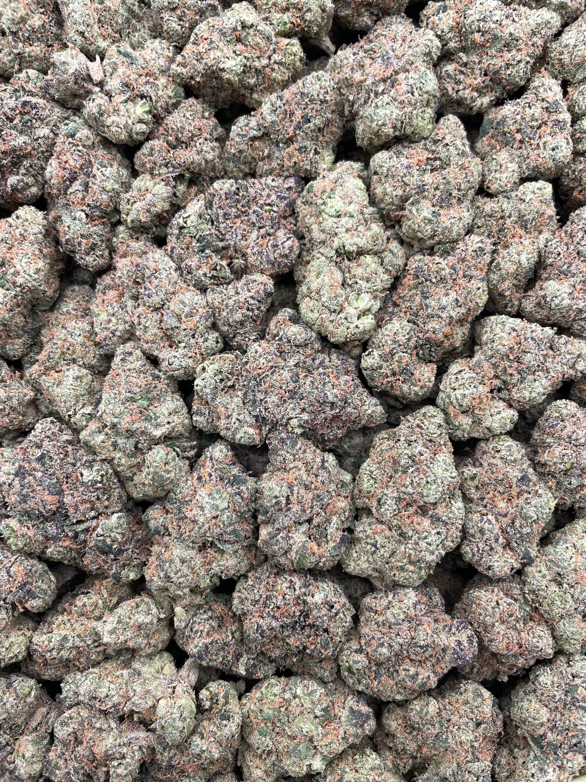 #PF24C 🍭 Mochi Madness 🍡