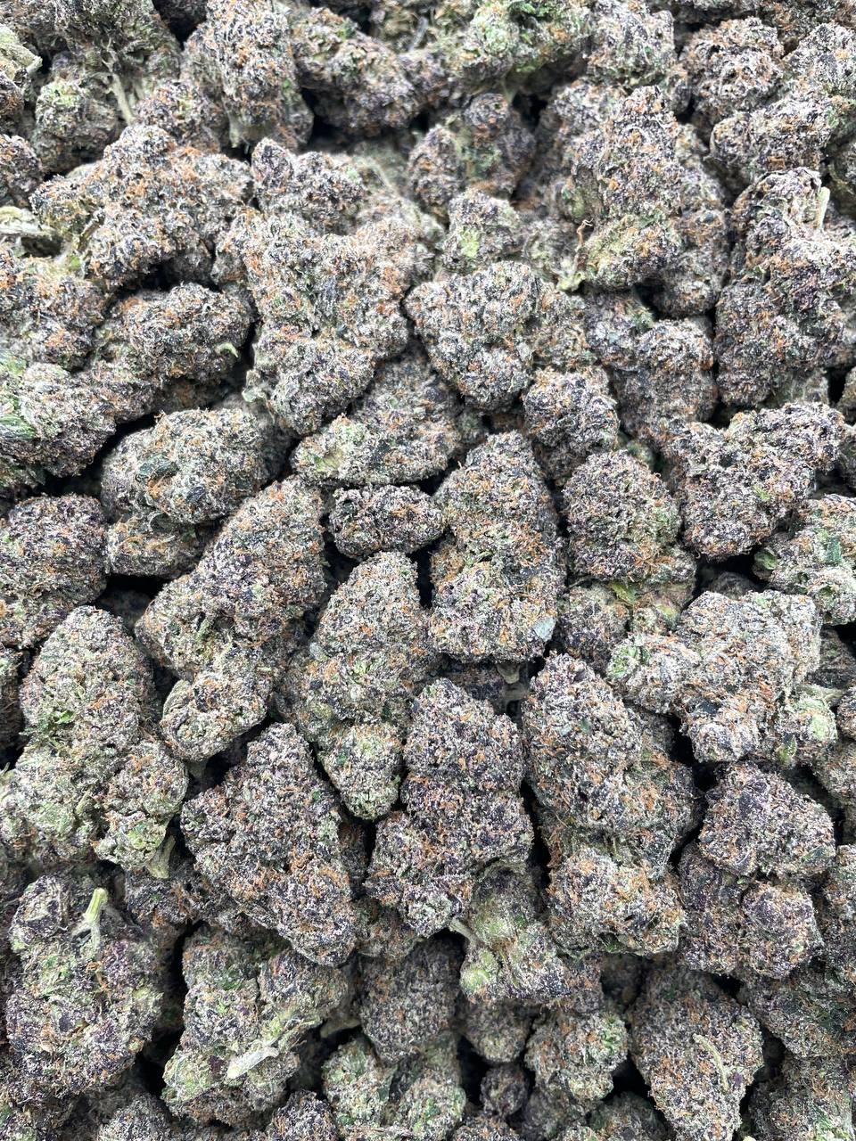 #PF27B 💧 Cherry Drop Pie 🍒