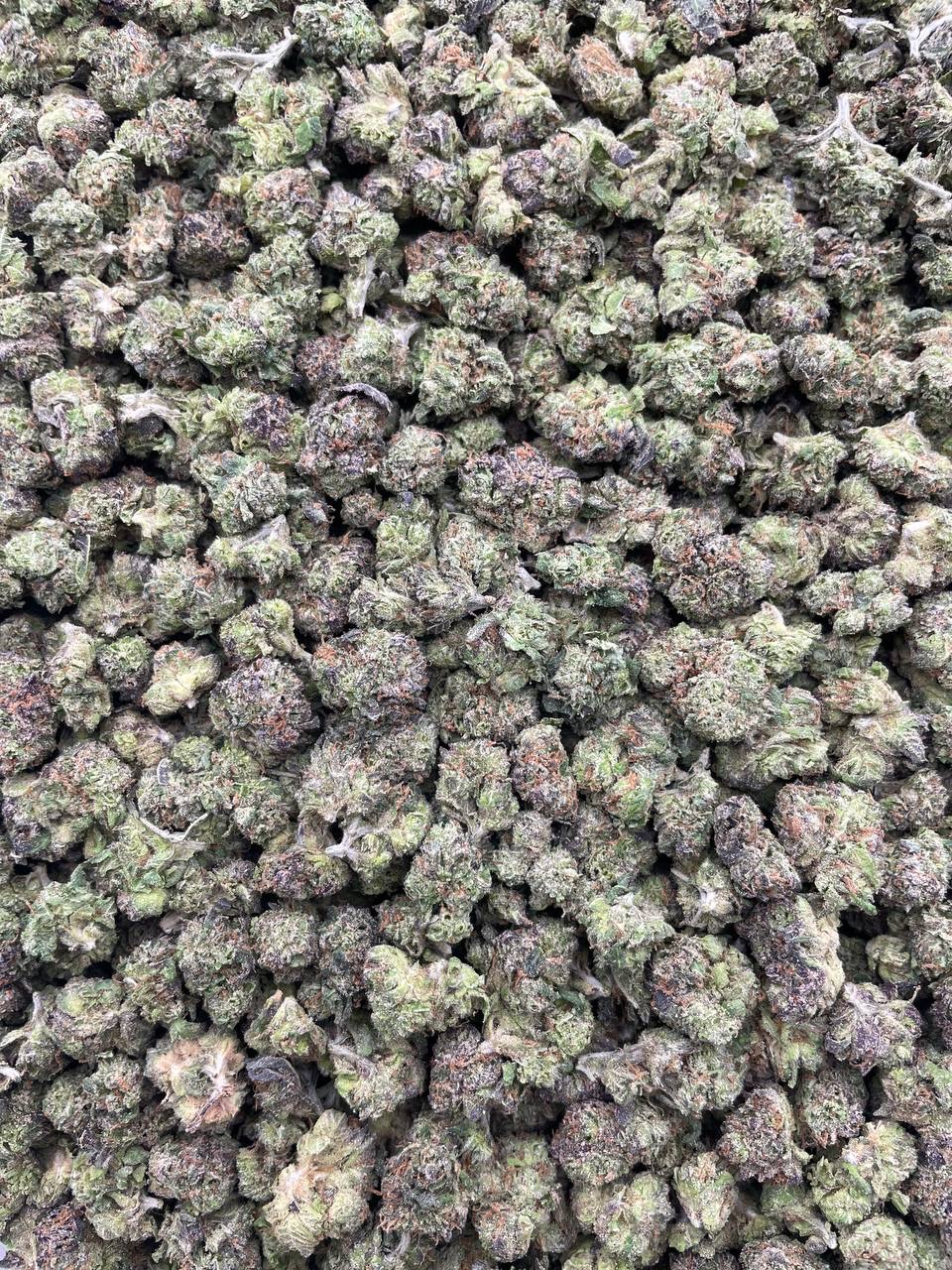 #PF29C 🍬 Amaretto Di Limon Smalls 🍋