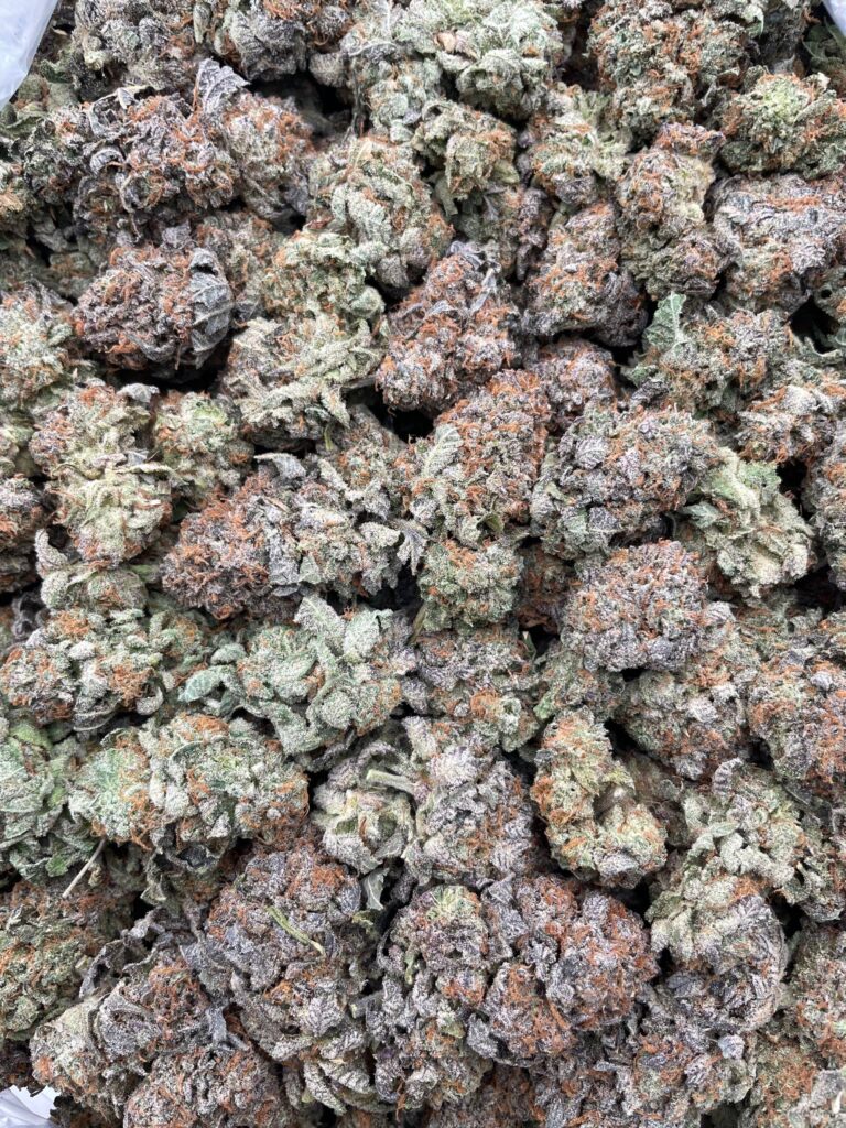 #PF2C 🌾 Biggie Bubbas 🫃