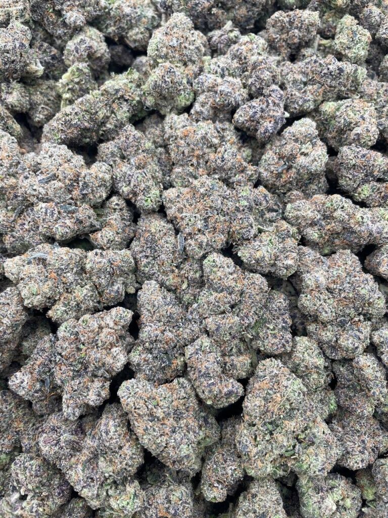 #PF34C 🤓 Nerds Clusters 🍭