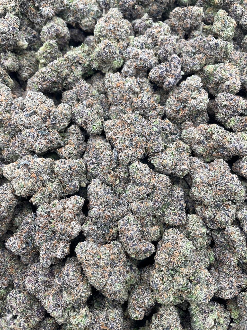 #PF34C 🤓 Nerds Clusters 🍭