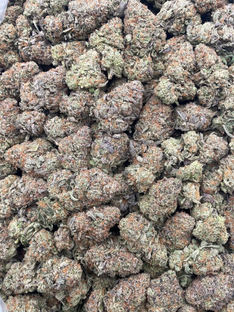 #PF36A 👨🌾 Lottery Ticket Bubba 🎫