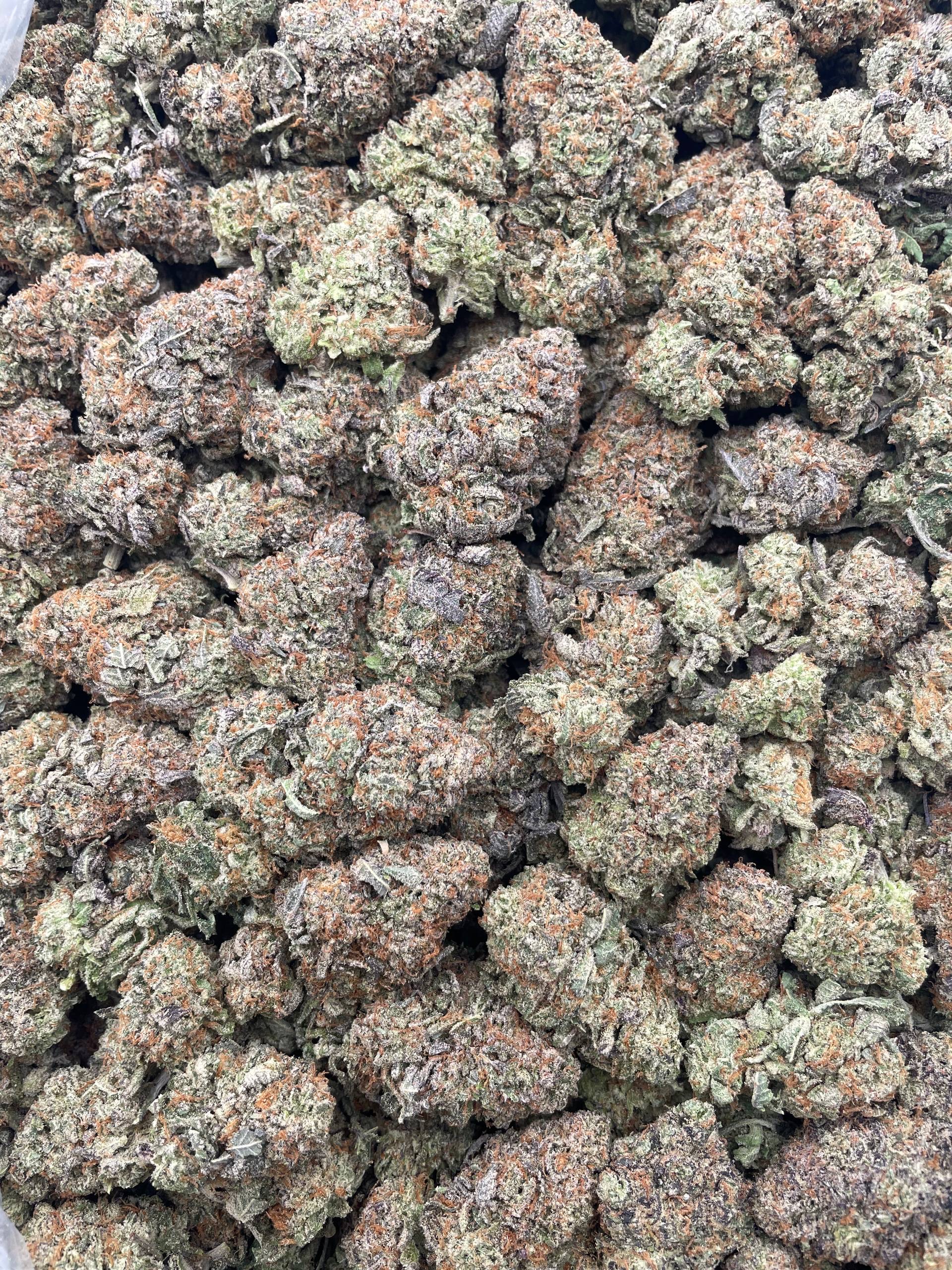 #PF36A 👨‍🌾 Lottery Ticket Bubba 🎫