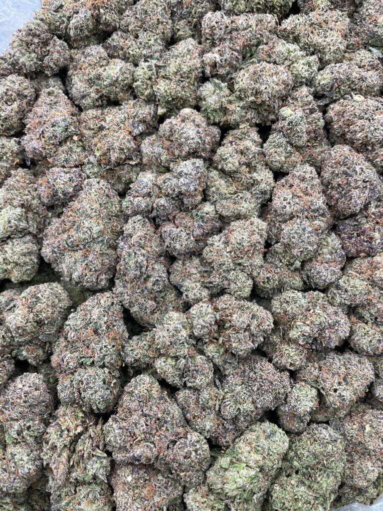 #PF40B 🍭 Trolli Sour Crawlers 🐛