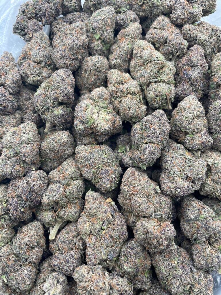 #PG10C ⛽️ Gumbo Fuel 🥣