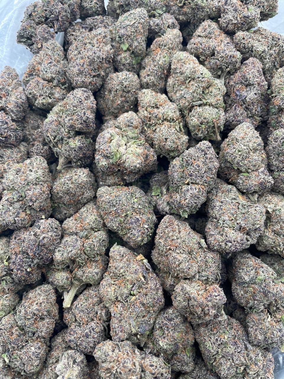 #PG10C ⛽️ Gumbo Fuel 🥣