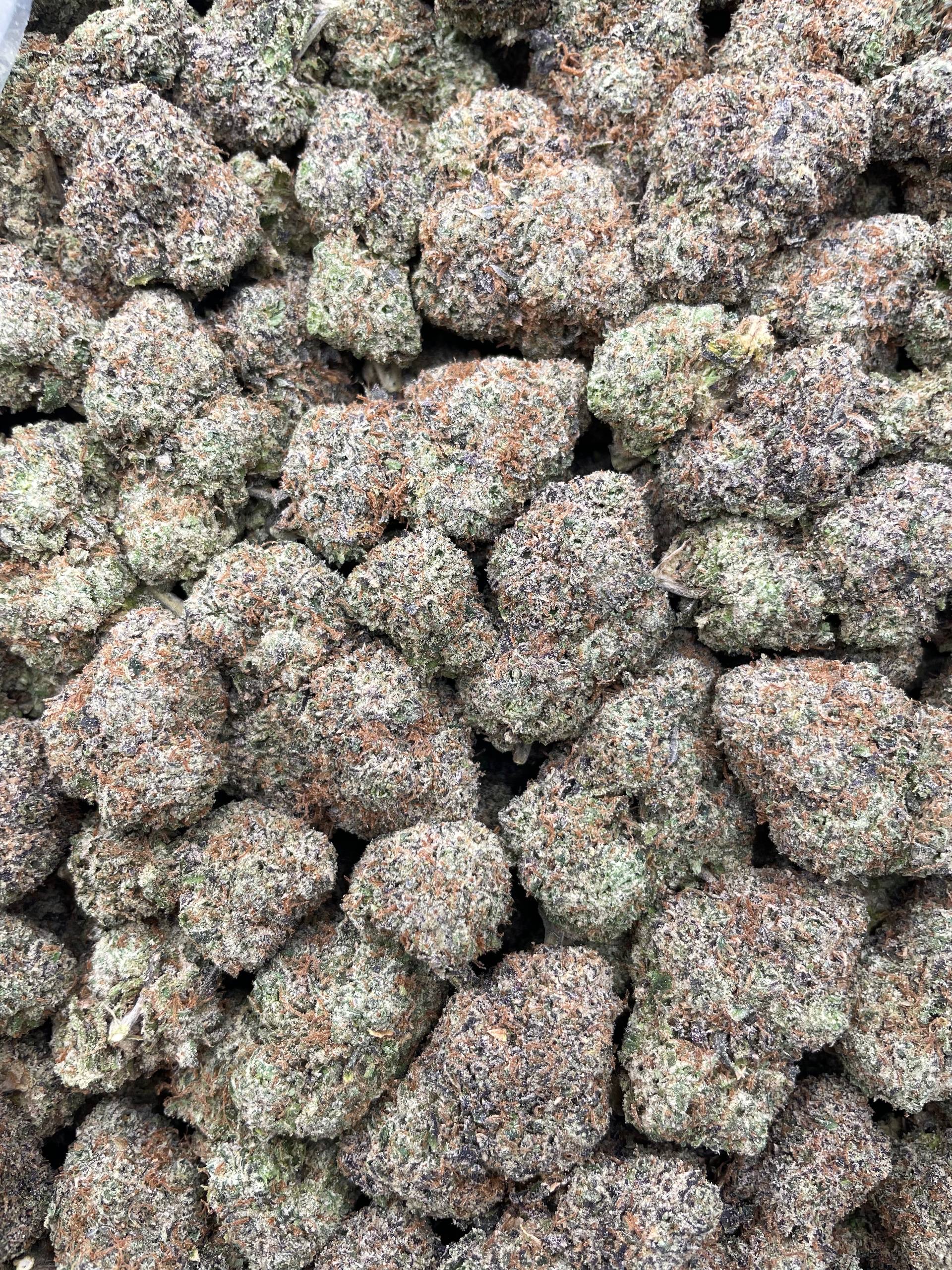 #PG39C 🍒 LCG Knockout 🍋