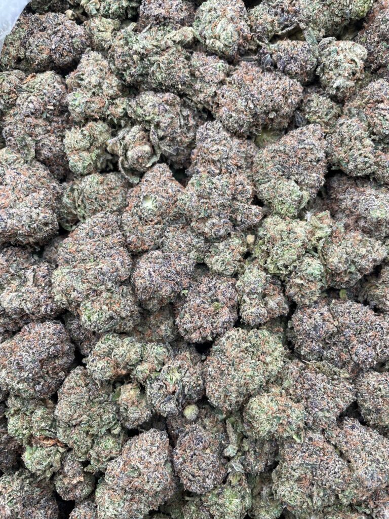#PG40C ⛽️ Mochi Fuel 🍡