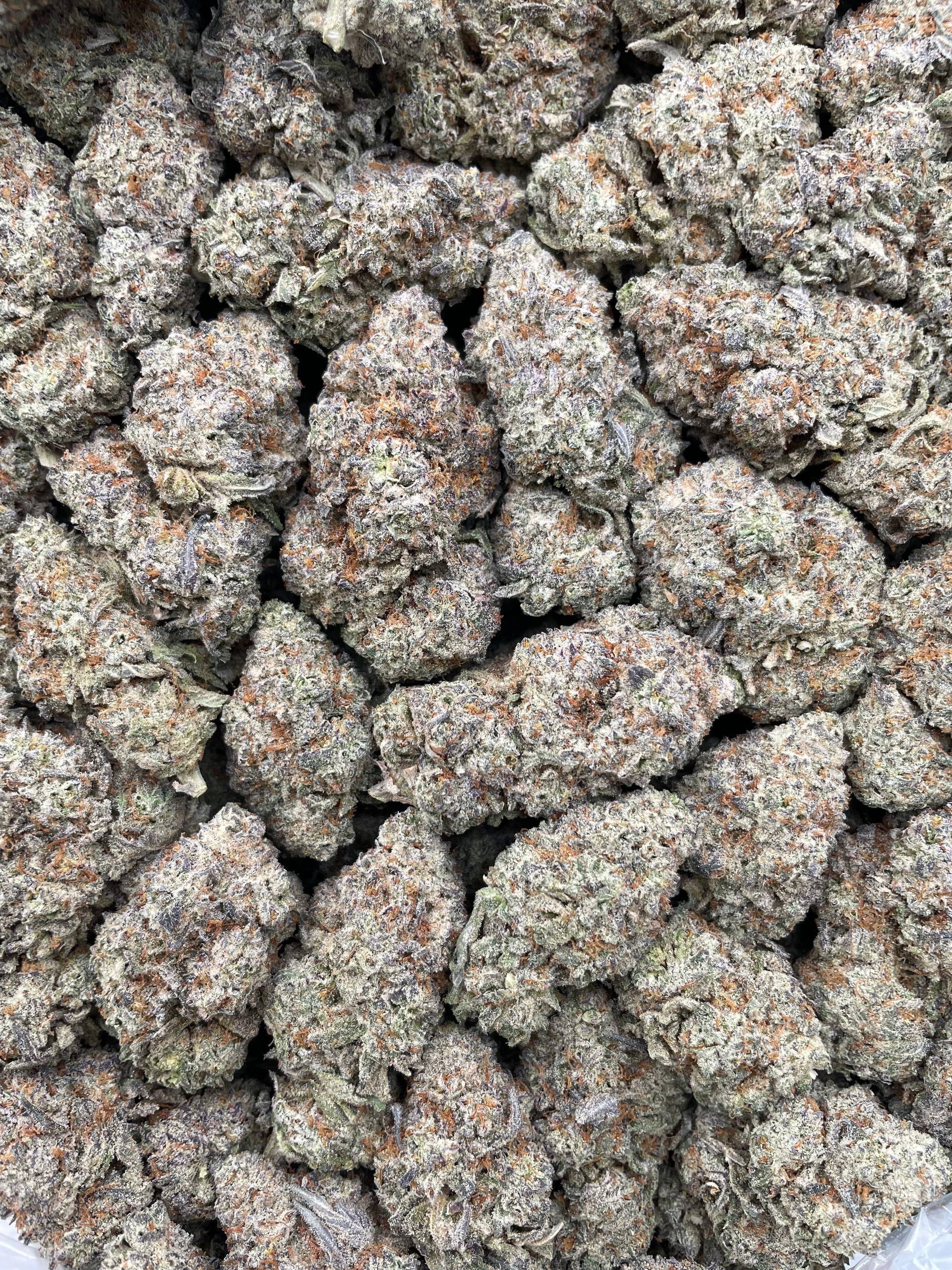 #PG6A 🍬 Sugar Cookies 🍪