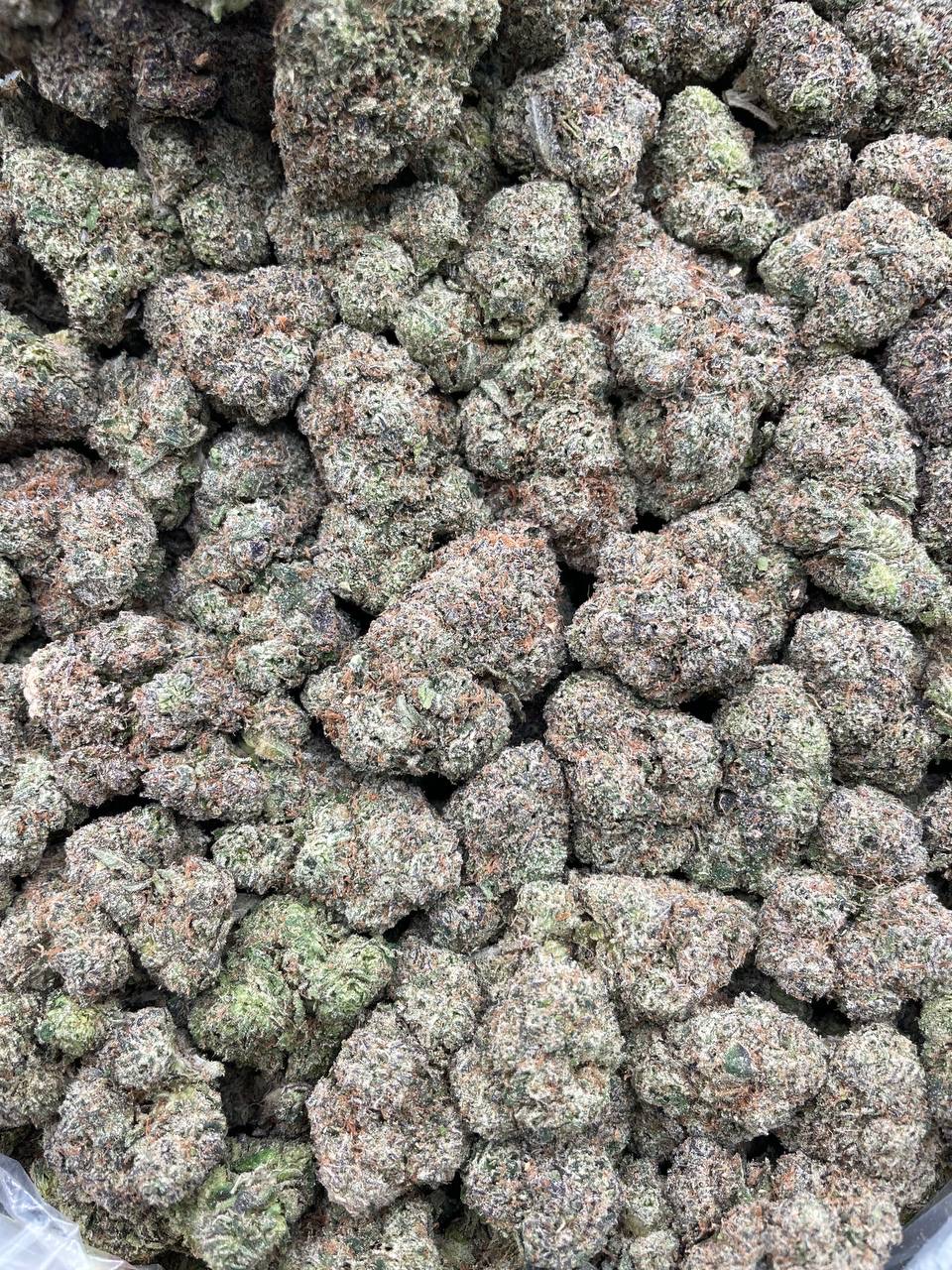 #PG7A 🍡 Sunset Mochi ☀️