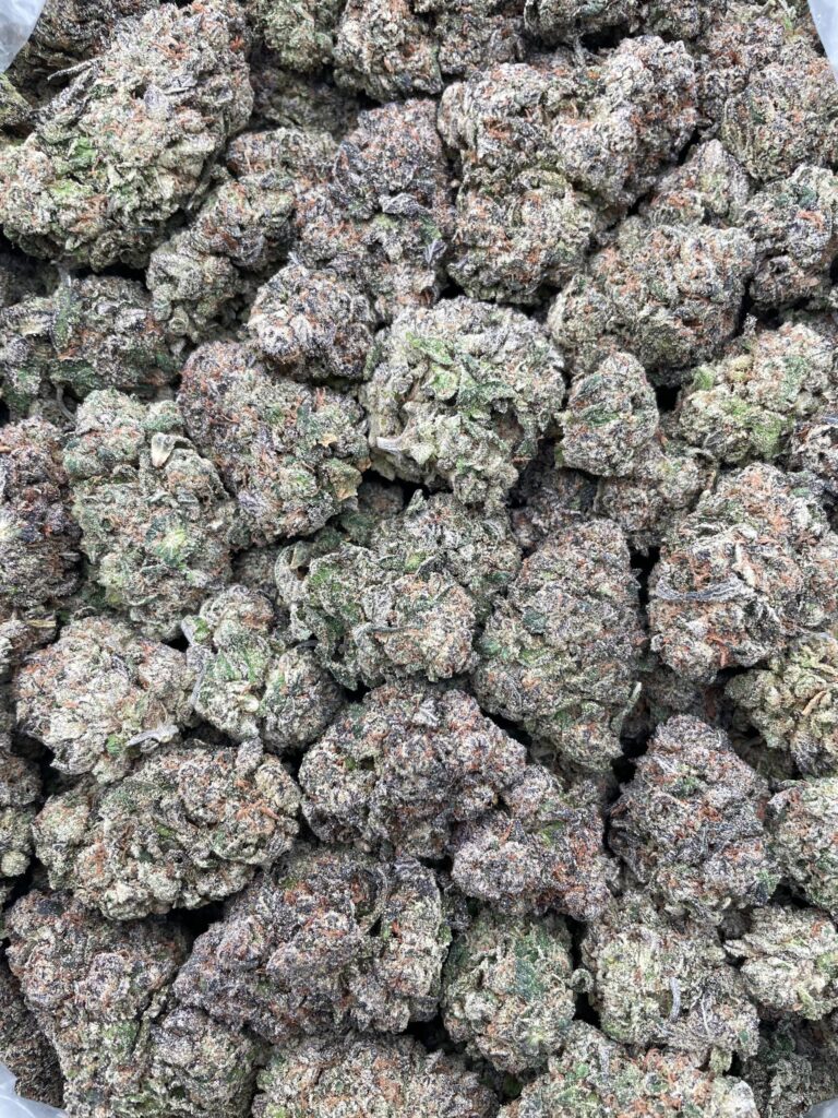 #PH14B ⛽️ Cherry Gas 🍒