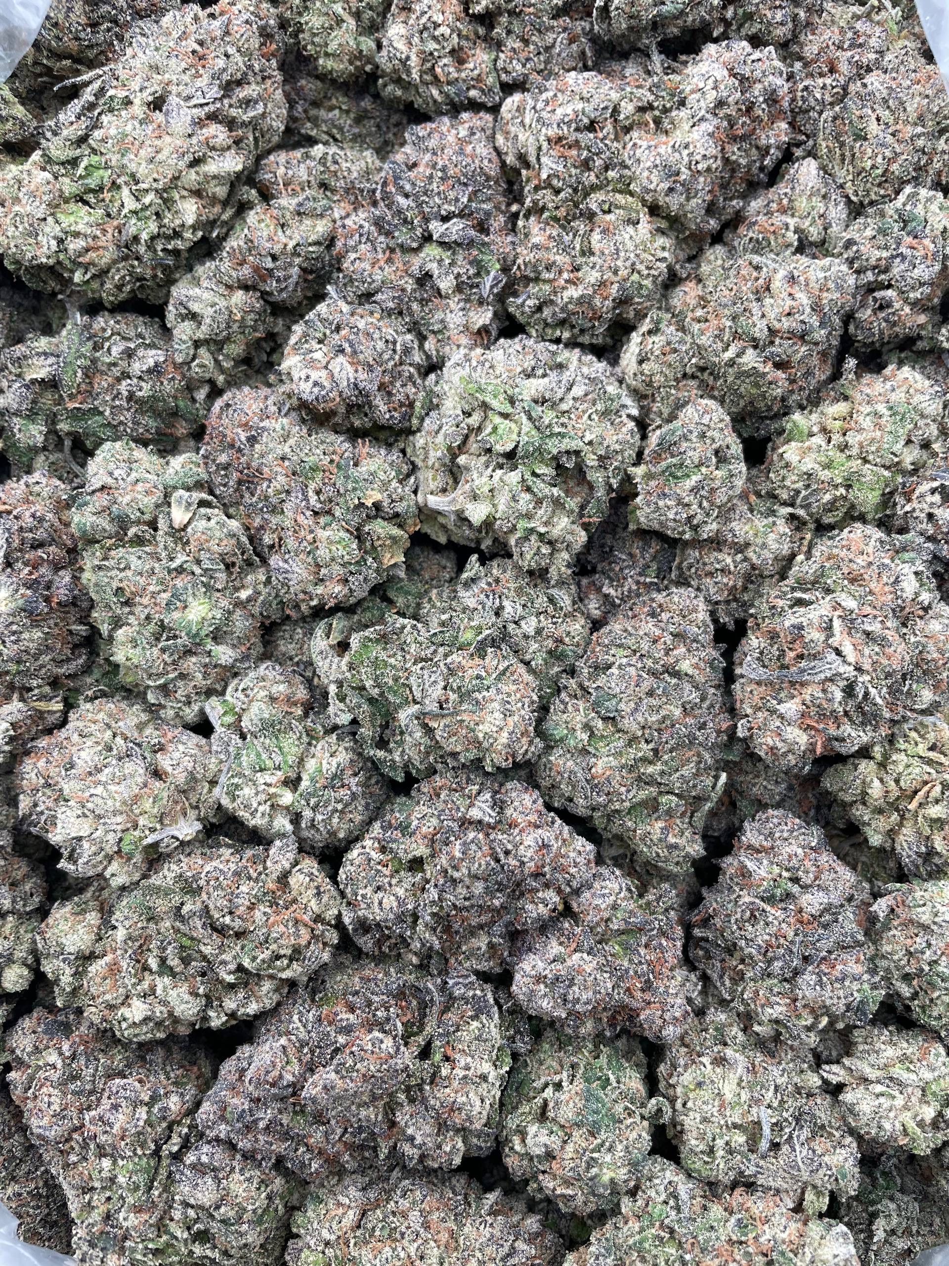 #PH14B ⛽️ Cherry Gas 🍒