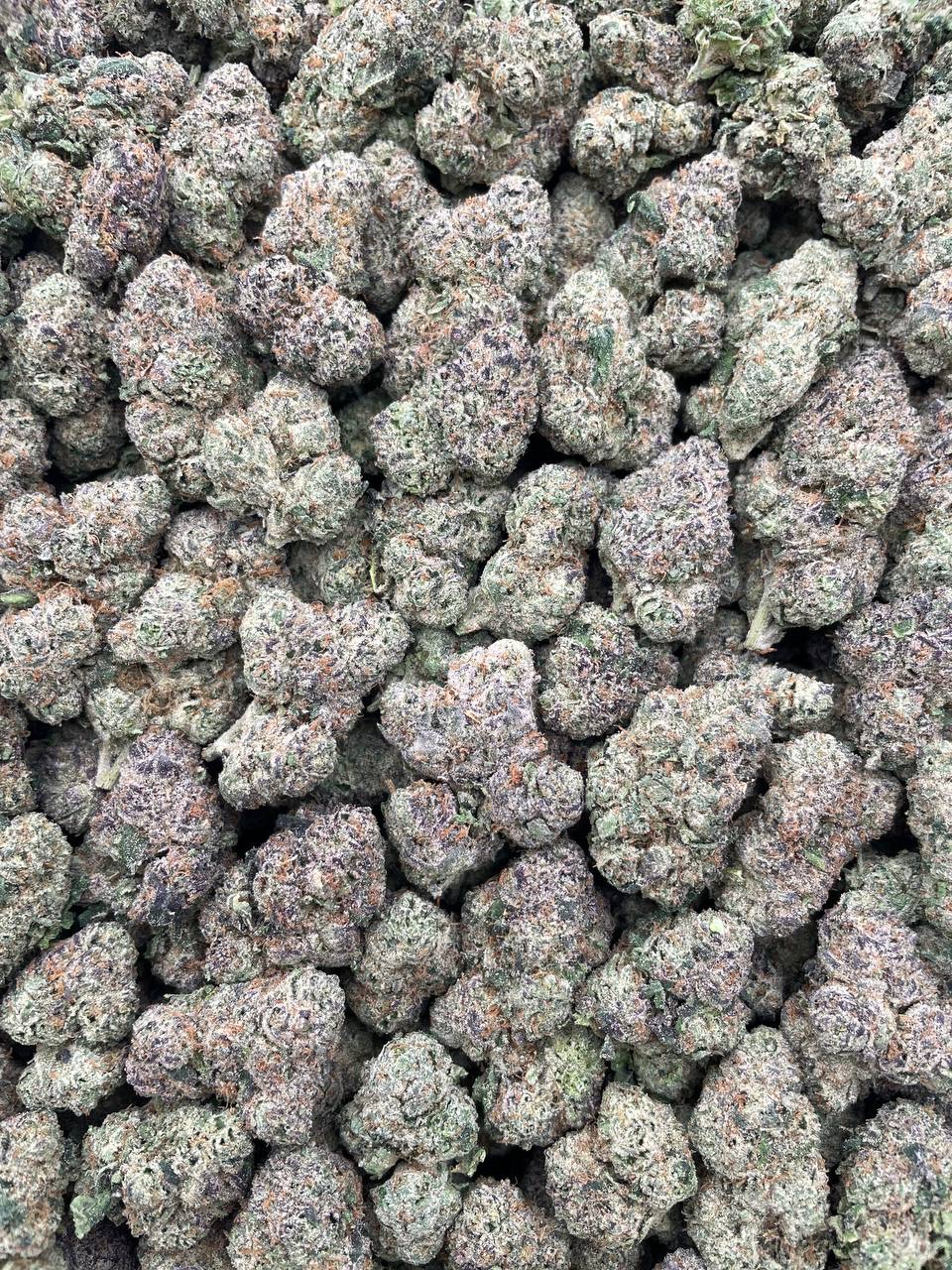 #PH26C ⛰️ Mochiland 🍡