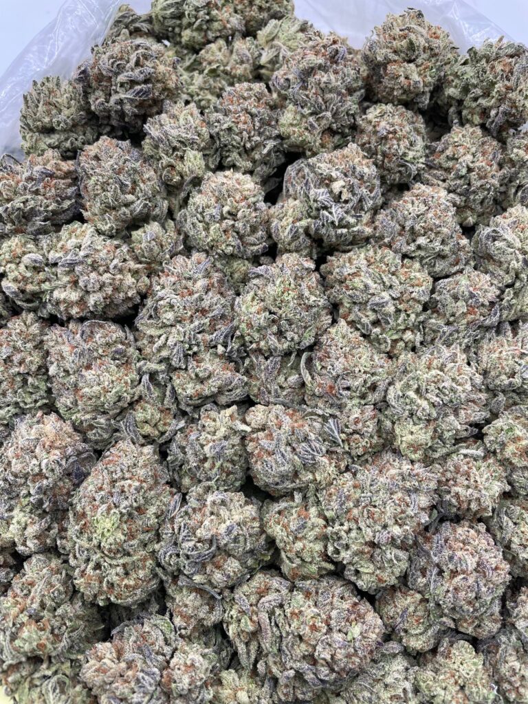 #PH29A 🧁 Frosted Cupcakes ❄️