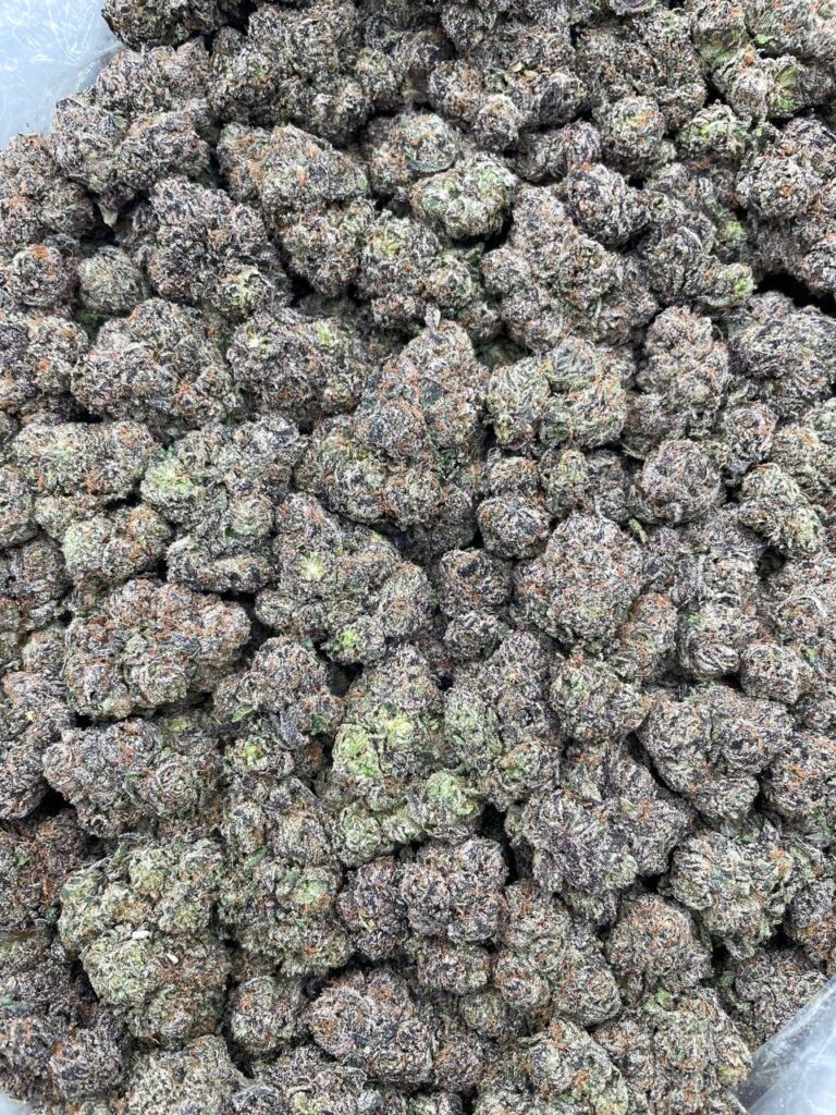 #PL12C 🍬 Haribo Sour Kicks 🦵