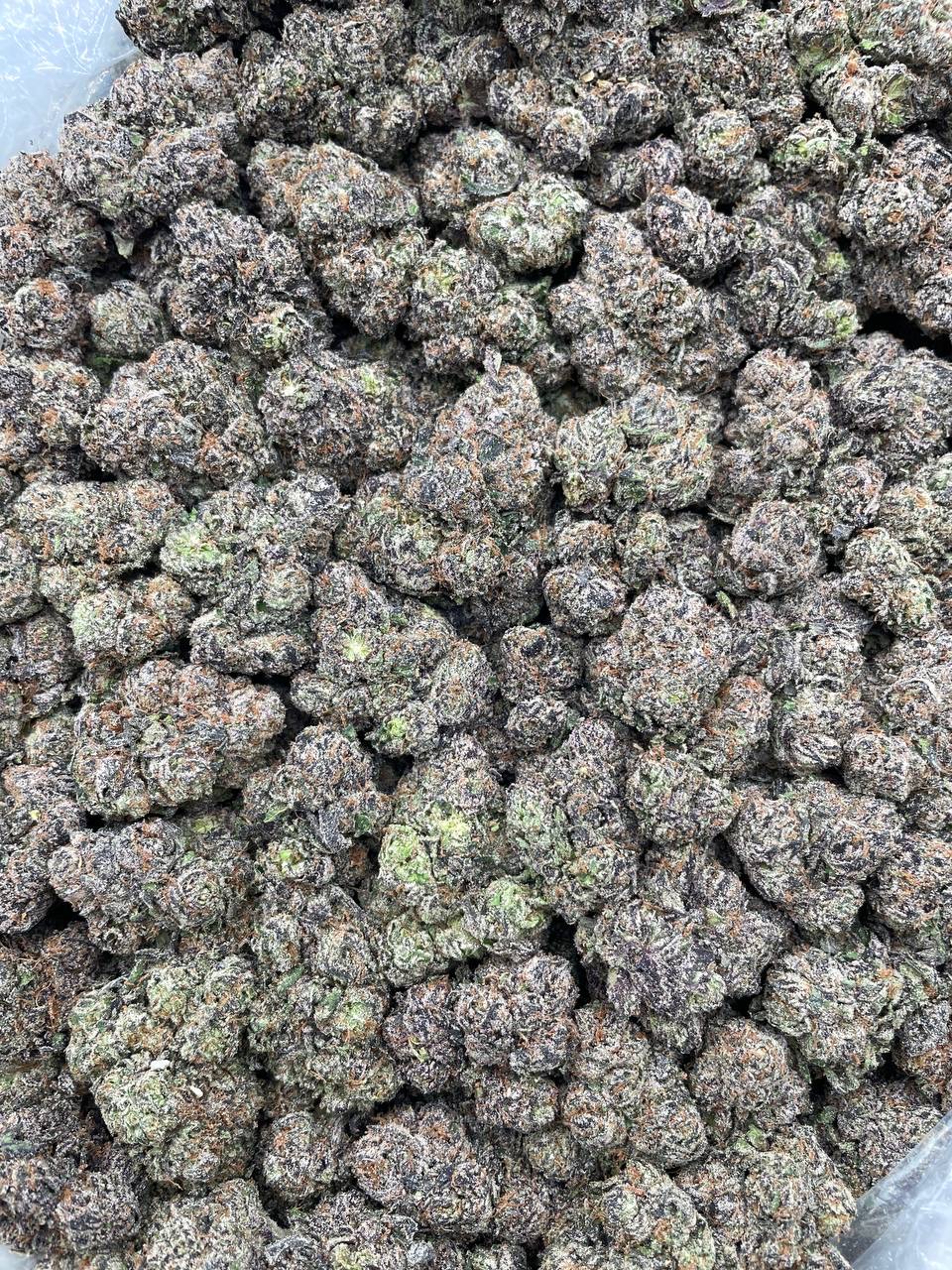 #PL12C 🍬 Haribo Sour Kicks 🦵