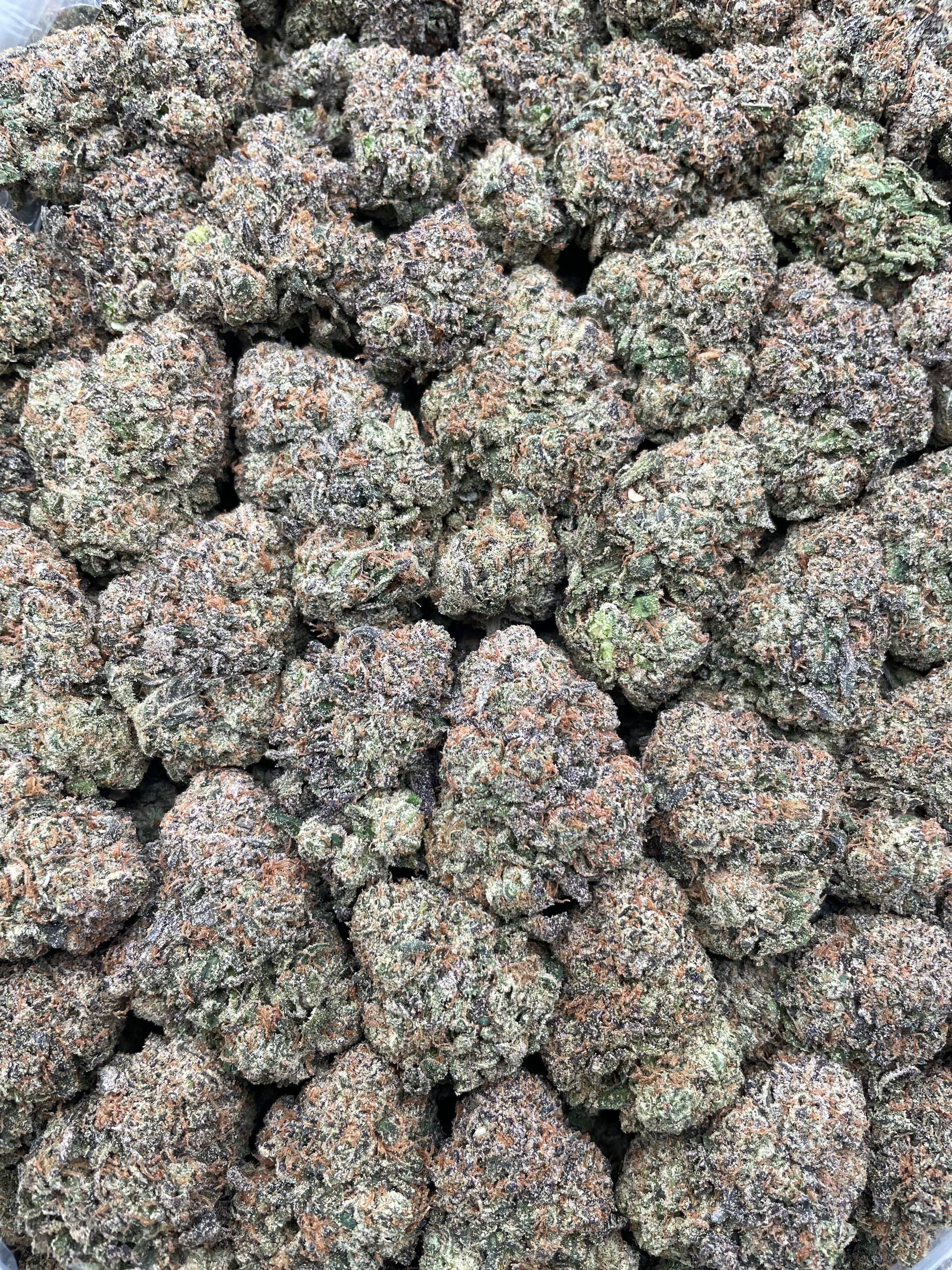 #PL16C 🏖️ Mochi Paradise 🍡