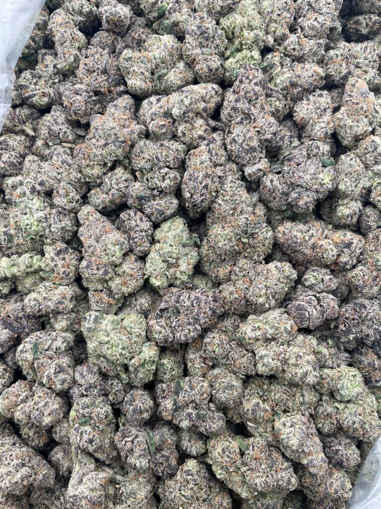 #PL18A 🥶 Cherry Blizzard 🍒