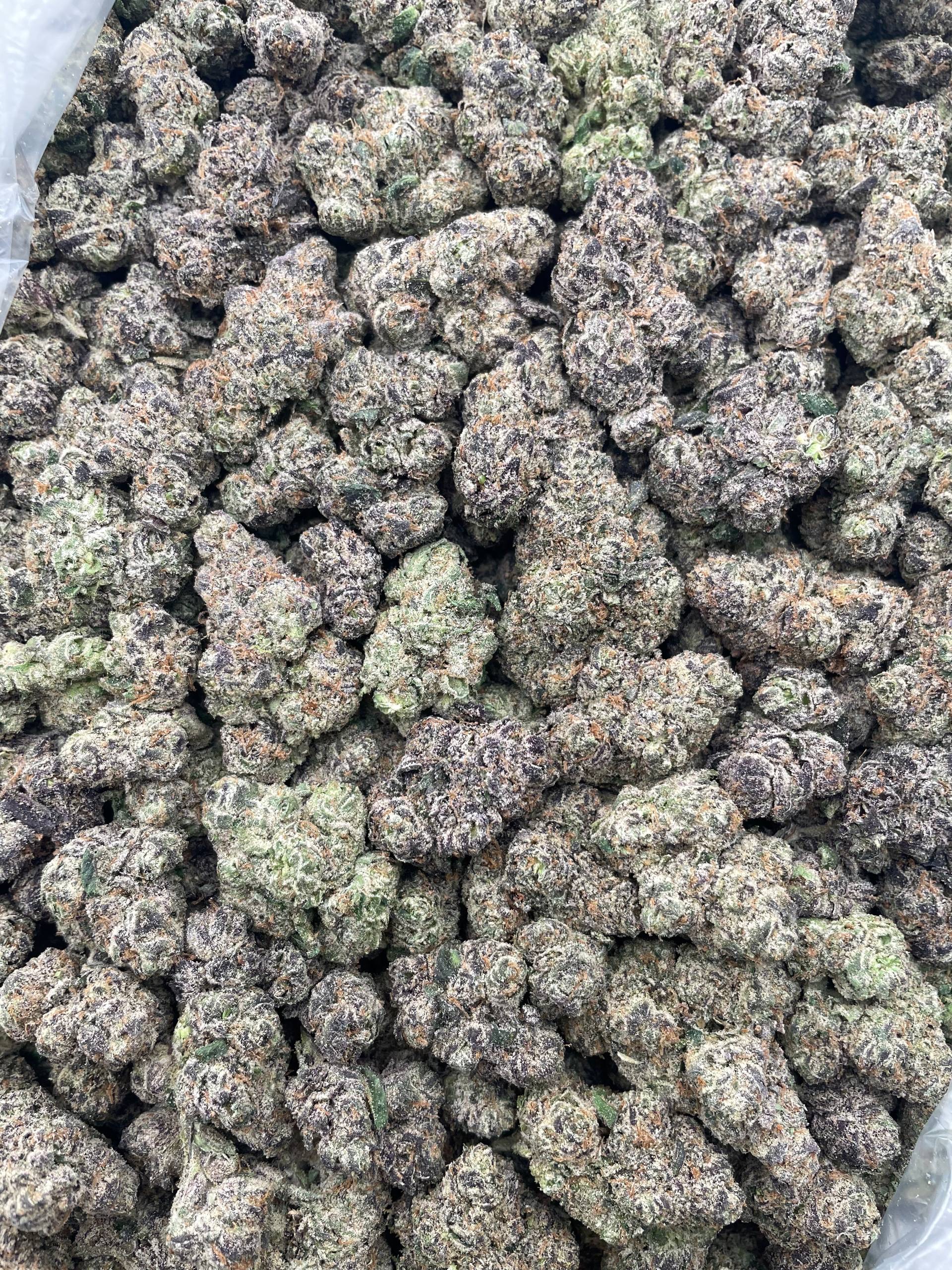 #PL18A 🥶 Cherry Blizzard 🍒