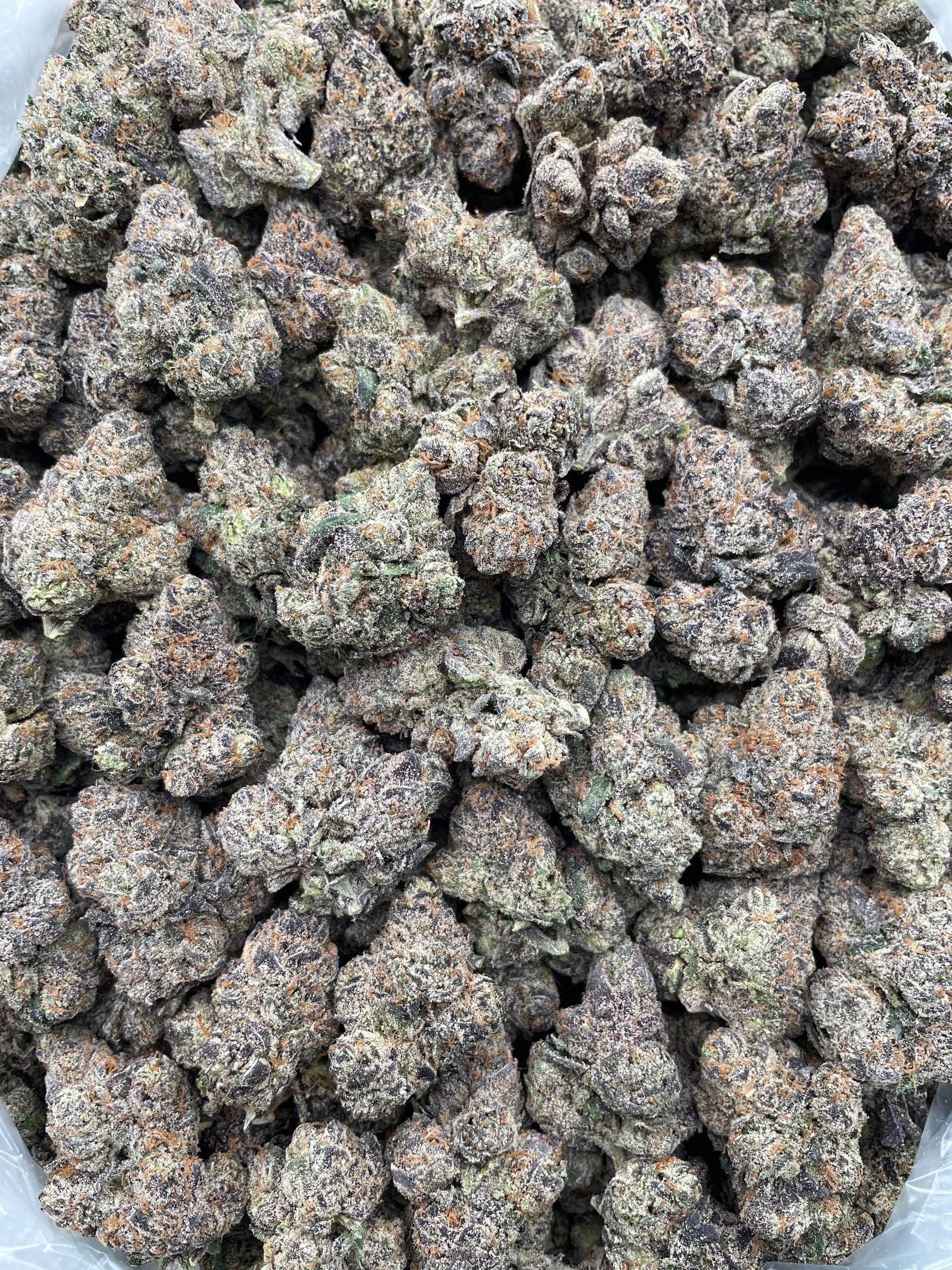 #PL20C 🍧 LCG Icee 🍒