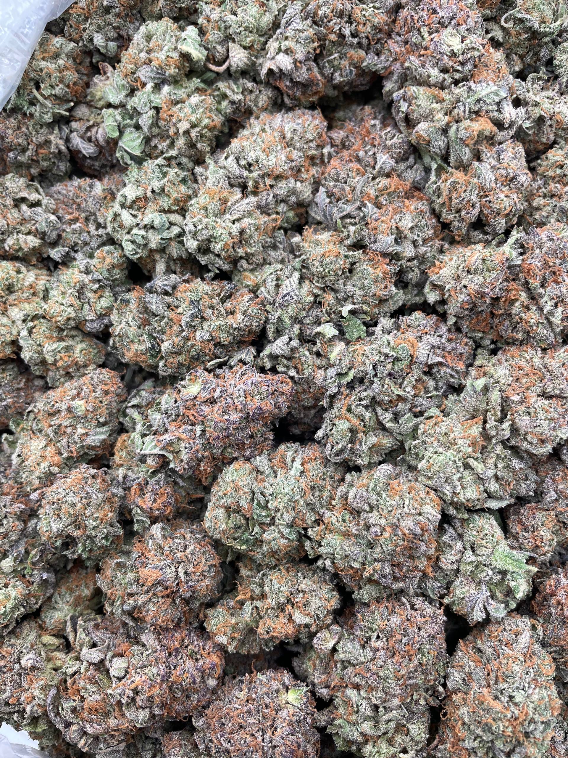 #PL27B 👑 Platinum Crown 💍