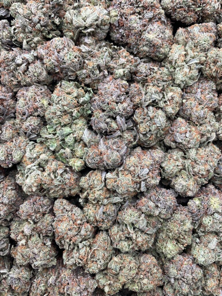 #PL29B 😋 Platinum Delight 💍