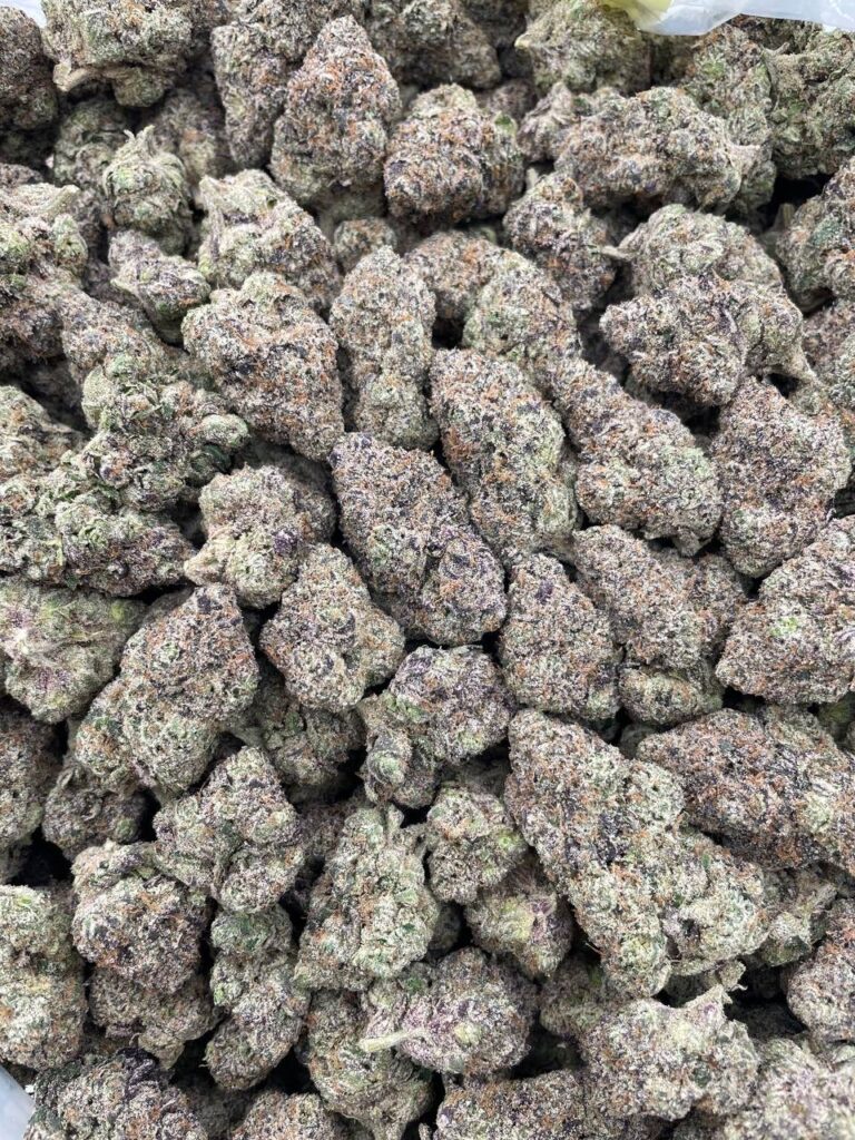 #PL2A 🍭 Rainbow Belts 🌈