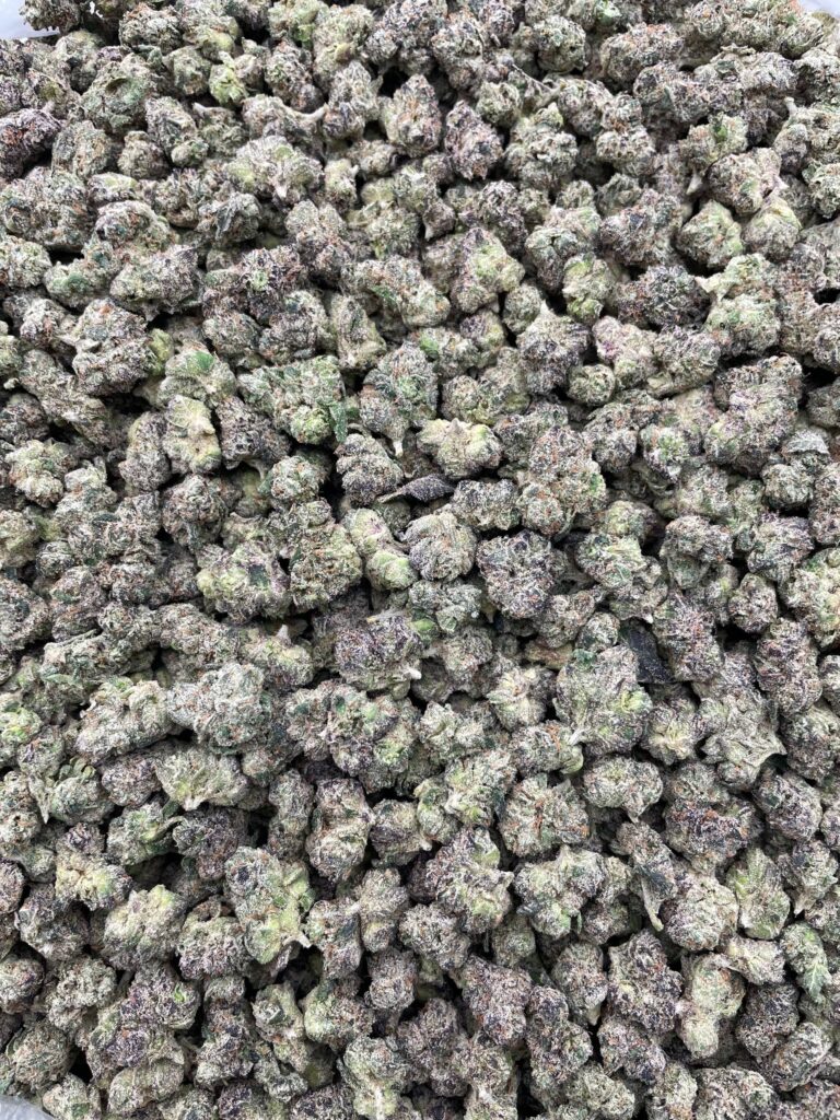 #PL32A 🔫 Bubblegum Shooters Smalls 🍬