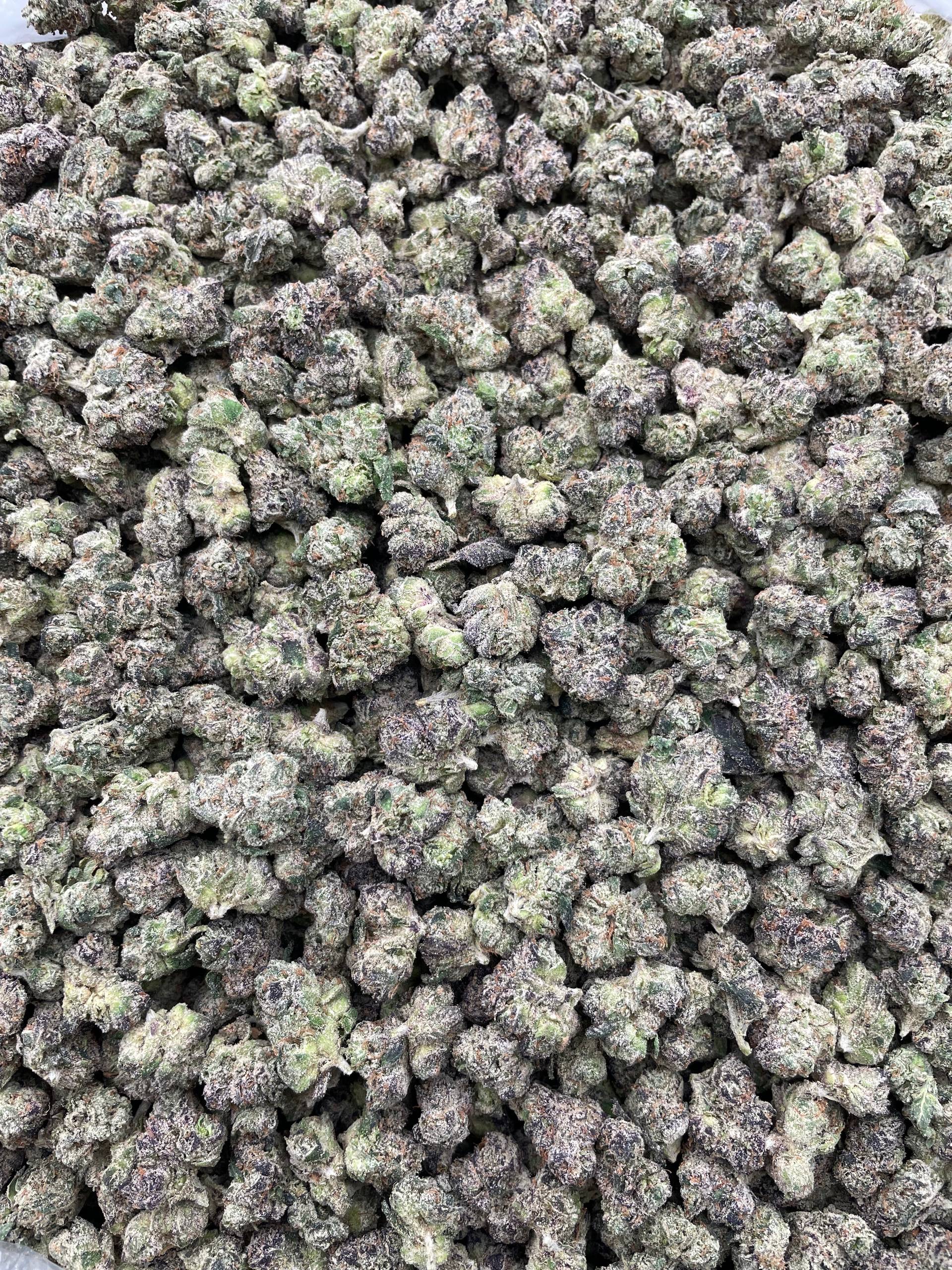 #PL32A 🔫 Bubblegum Shooters Smalls 🍬