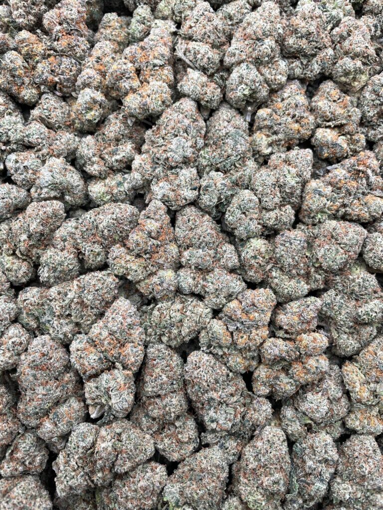 #PL40A ⛽️ Candy Gas 🍬