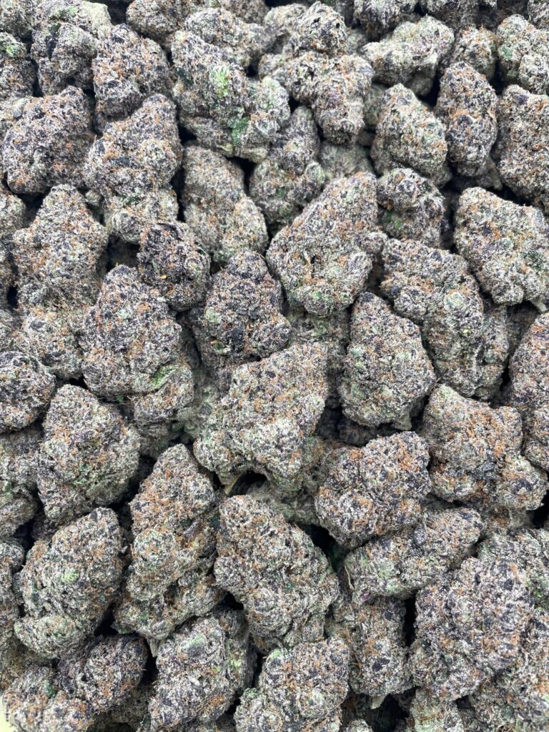 #PL5A 💣 Candy Bomb 🍬