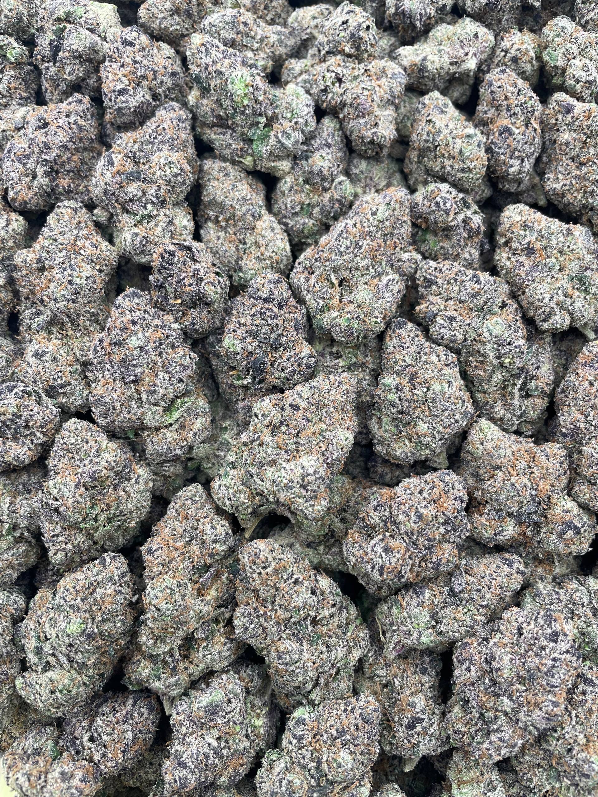 #PL5A 💣 Candy Bomb 🍬