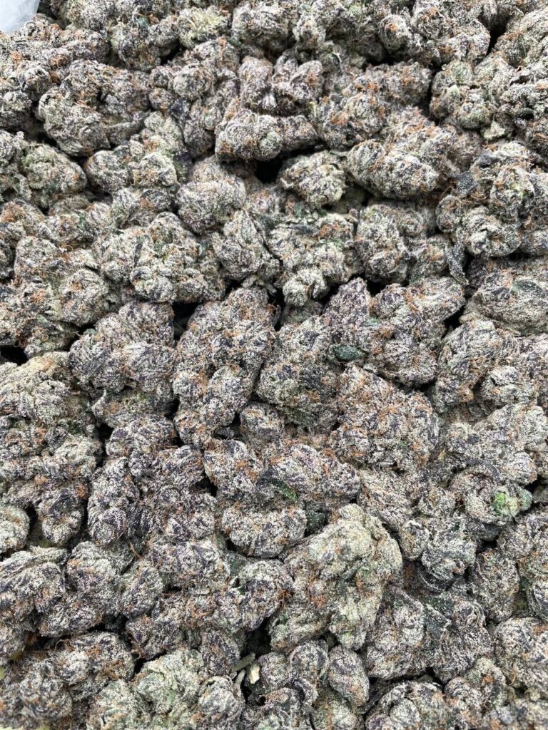 #PR22T 🪱 Trolli Electric Crawlers ⚡️