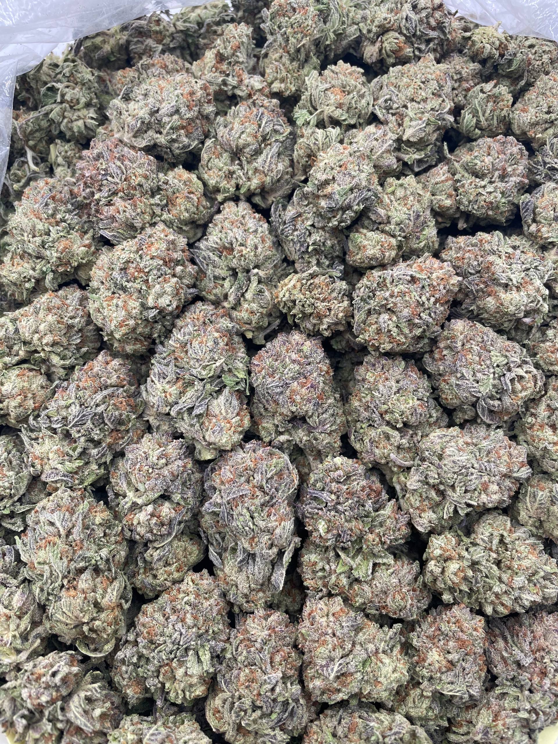 #PR2C 🍨 Dondoli Gelatti 👑