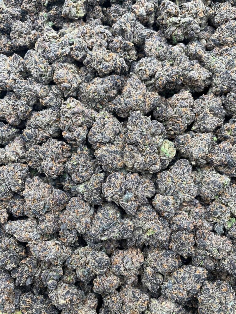 #PR42T Watermelon Sour patch 🍉