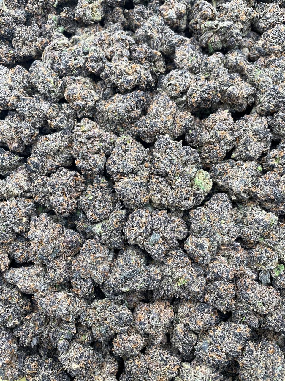 #PR42T Watermelon Sour patch 🍉