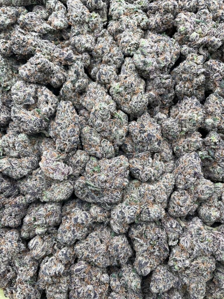 #PR44T 🎉 Toxic Waste Taffeti