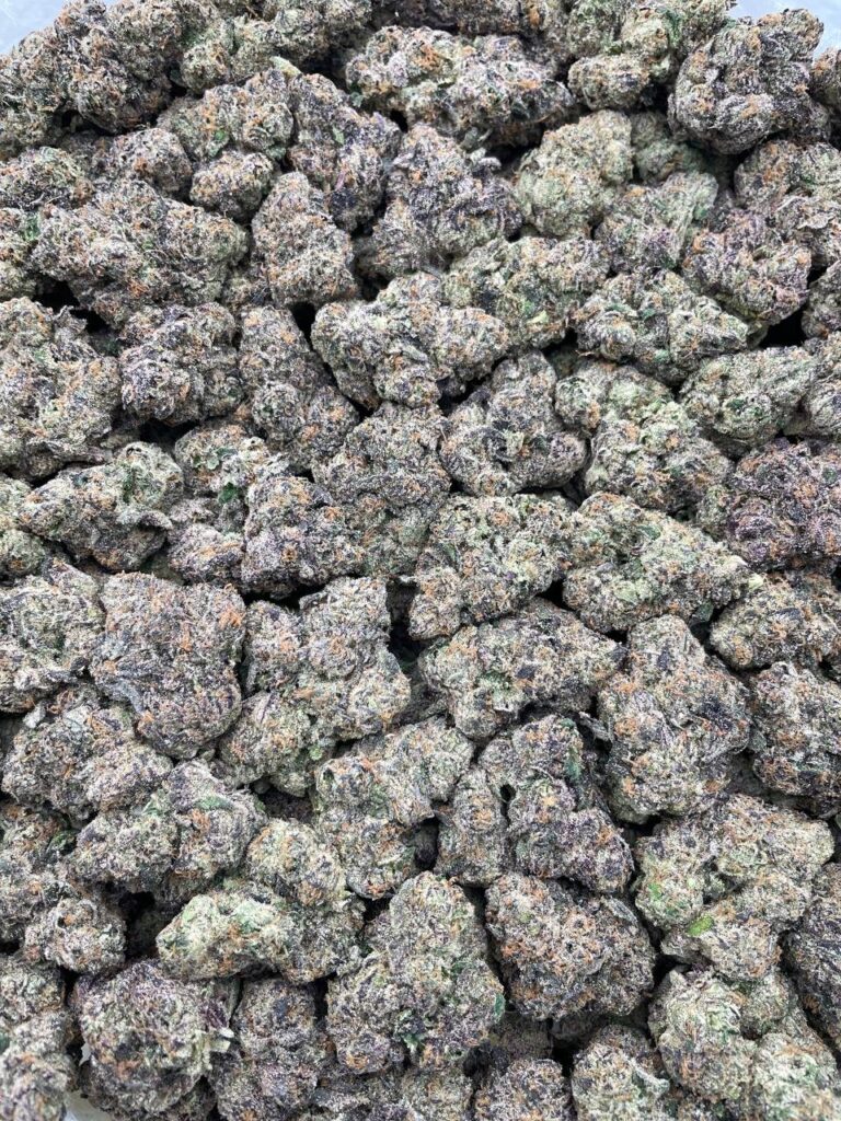 #PR45T 🍬 Sour Squirt Gupperz 💦
