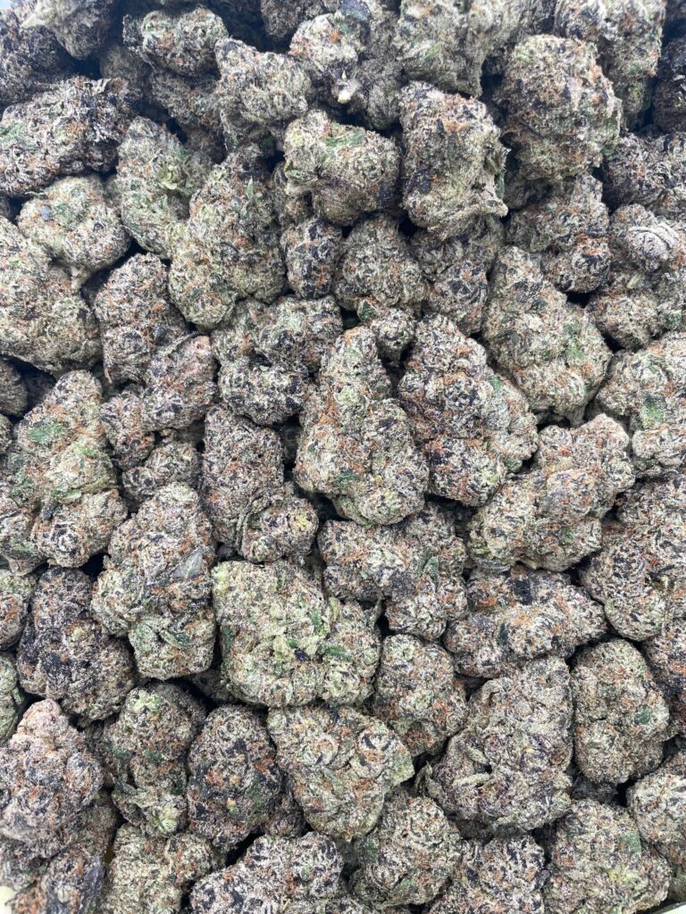 #PR46T 🍭 Green Apple Frooties 🍏