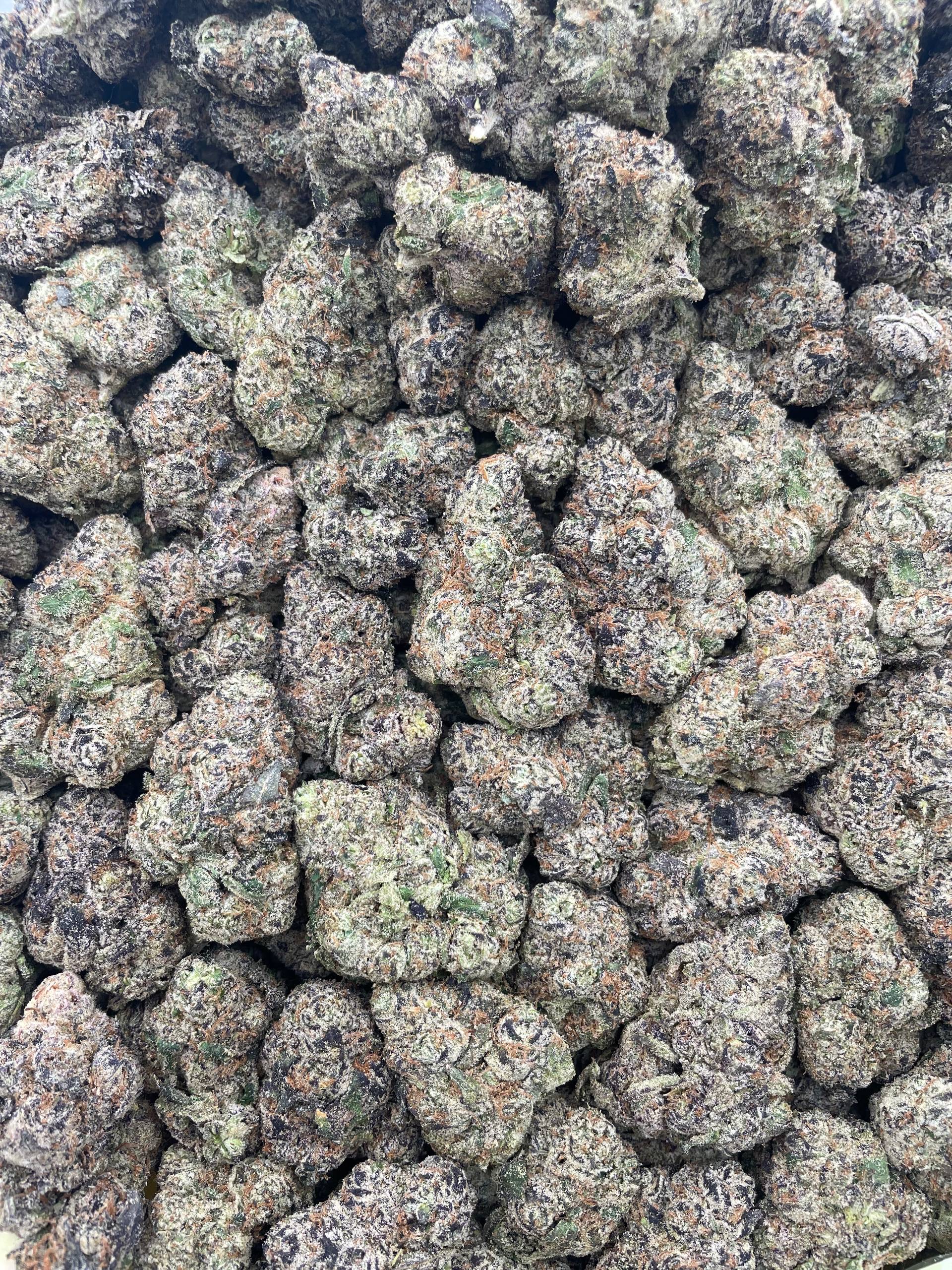 #PR46T 🍭 Green Apple Frooties 🍏