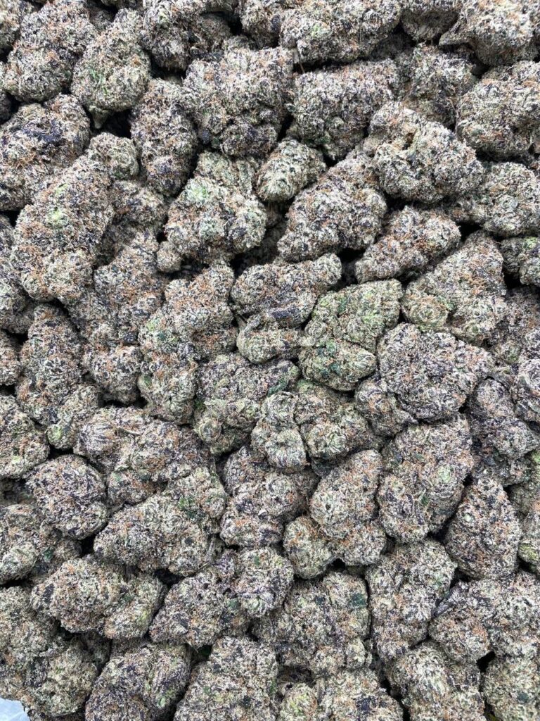 #PR47T 🫐 Blue Razz Rocket Sours 🚀