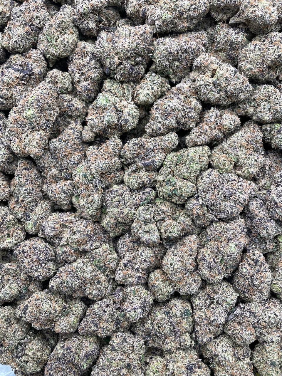 #PR47T 🫐 Blue Razz Rocket Sours 🚀